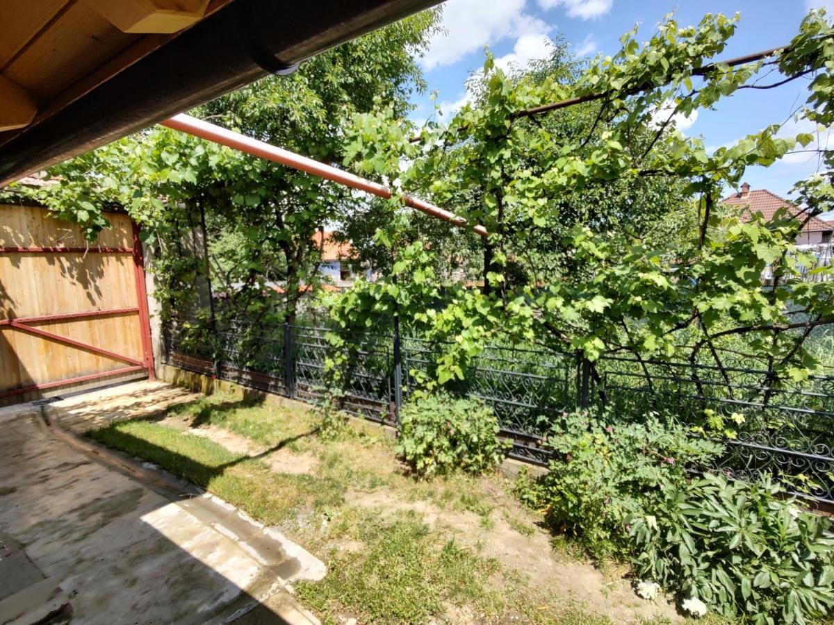 La Tataia Zahei Dragus Exterior foto